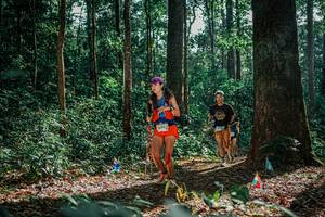 BIB: 
                            <button type="button" onclick="openModal(26081576)" class="btn btn-primary btn-sm float-right btn-popup" data-toggle="modal" data-target=".modal-high-quality">
                        <i class="fas fa-shopping-cart"></i> Add to Cart
                    </button>
                                            <button type="button" onclick="isThisMe(26081576, true)" class="btn btn-success btn-sm float-right btn-popup btn-isme hidden" data-toggle="tooltip" data-placement="bottom" title="นี่คือรูปของคุณใช่ไหม คลิกที่นี่เพื่อเอาเข้าอัลบั้ม">
                        <i class="fas fa-plus"></i> Add to album
                    </button>
                    <button type="button" onclick="isThisMe(26081576, false)" class="btn btn-warning btn-sm float-right btn-popup btn-isnotme hidden">
                        <i class="fas fa-ban"></i> Remove from album
                    </button>